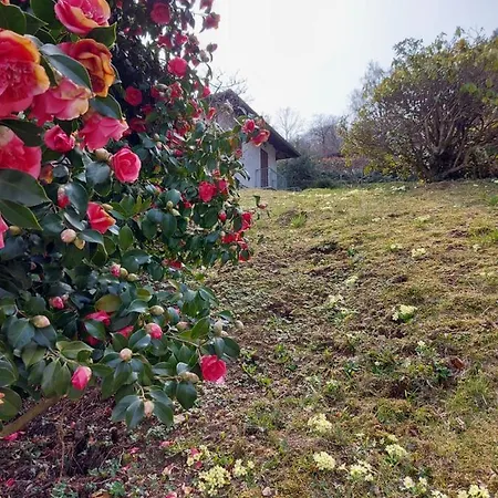 La Casa Delle Camelie Stresa