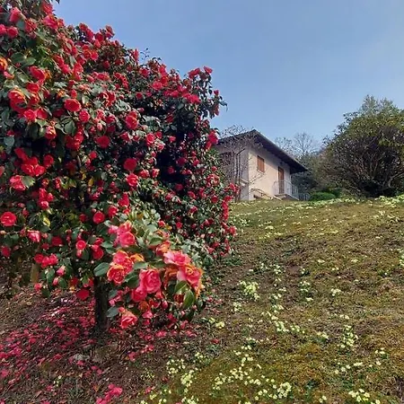 La Casa Delle Camelie Casa vacanze