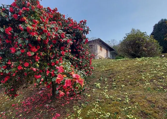 La Casa Delle Camelie Hébergement de vacances