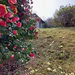 La Casa Delle Camelie 스트레사